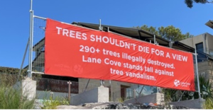 tree vandalism